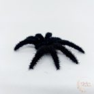 Szőrös pók - kicsi