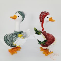 Lúd kötött pulcsiban