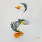 Lúd kötött pulcsiban