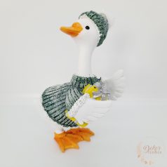 Lúd kötött pulcsiban