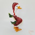 Lúd kötött pulcsiban