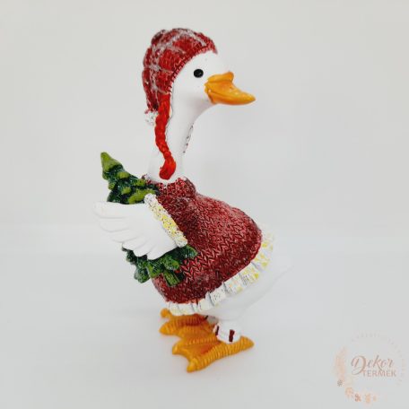 Lúd kötött pulcsiban