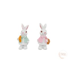 Páros nyuszi csomag