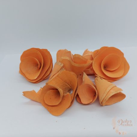 Háncsvirág - zúzmarás narancs