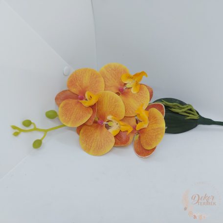Orchidea ág