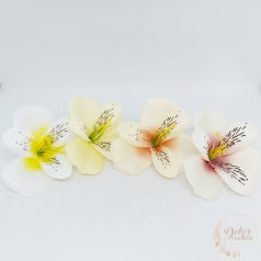 Asztromélia virágfej