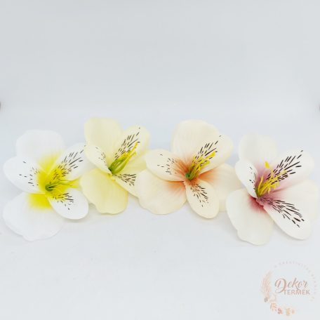 Asztromélia virágfej