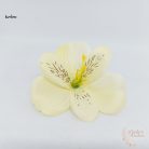 Asztromélia virágfej