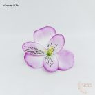 Asztromélia virágfej