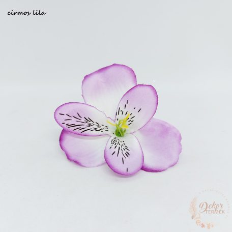 Asztromélia virágfej