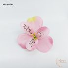 Asztromélia virágfej