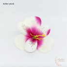 Asztromélia virágfej