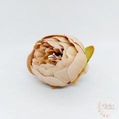Peónia virágfej - 8 cm - cappuccino