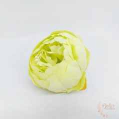 Peónia virágfej - 8 cm - lime