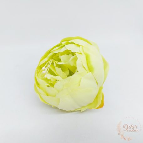 Peónia virágfej - 8 cm - lime