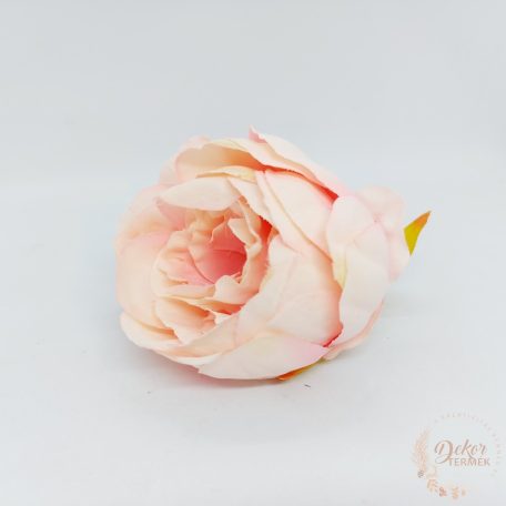 Peónia virágfej - 8 cm - rózsaszín-krém