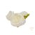 Peónia virágfej - 8 cm - fehér