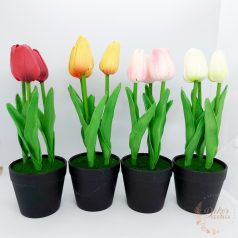Cserepes tulipán - polifoam touch