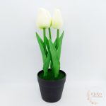 Cserepes tulipán - polifoam touch