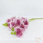 Szálas mini orchidea