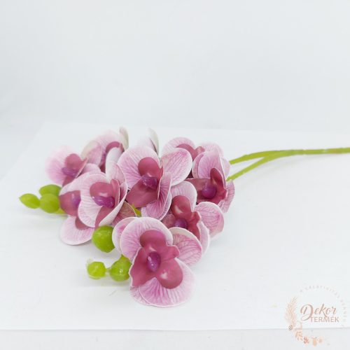 Szálas mini orchidea