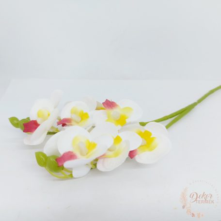 Szálas mini orchidea