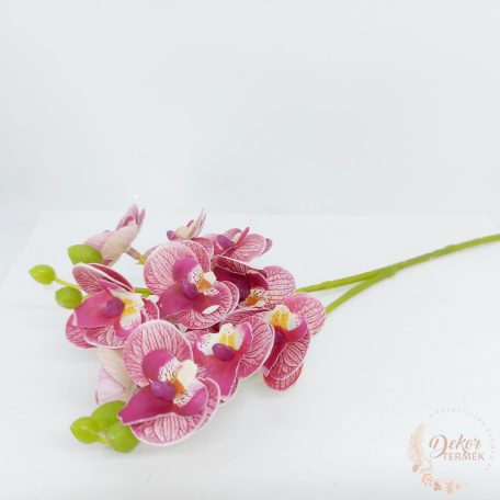 Szálas mini orchidea