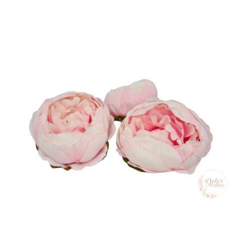 Peónia virágfej - 8 cm - rózsaszín