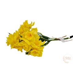 Gumi nárcisz köteg