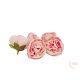 Peony virágfej - 5 cm - krém-rózsaszín