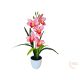 Cserepes gumi orchidea