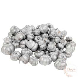 Putka pod - mini tök termés - ezüst