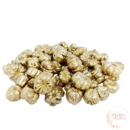 Putka pod - mini tök termés - arany