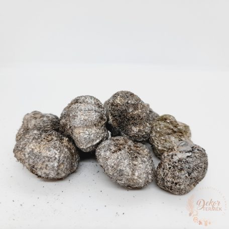 Fokhagyma termés - pezsgő színű