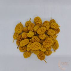 Casuarina - sárga színű