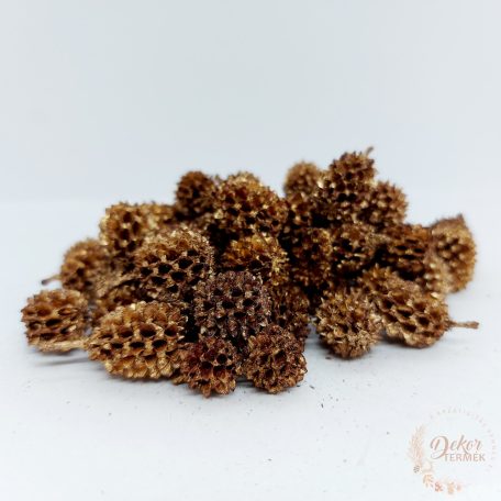 Casuarina - antik arany