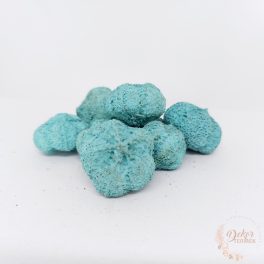 Fokhagyma termés - falfestékes aqua