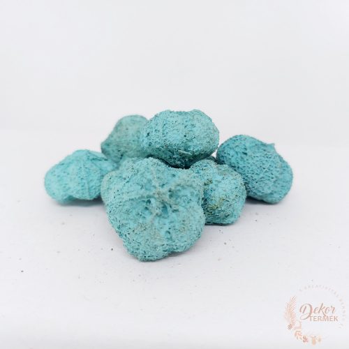 Fokhagyma termés - falfestékes aqua