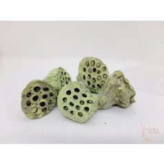 Lótusz - kicsi - falfestékes világoszöld