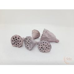 Lótusz - mini - falfestékes mályva