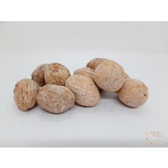 Amra pod - falfestékes salmon