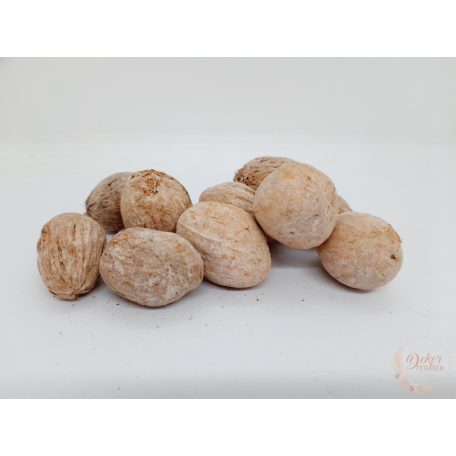 Amra pod - falfestékes salmon