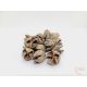 Bakuli - falfestékes salmon