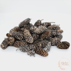 Birch pine - falfestékes salmon