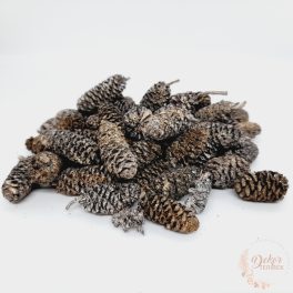 Birch pine - falfestékes salmon