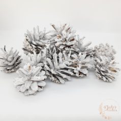 Rózsa toboz - falfestékes fehér