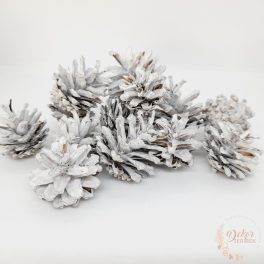 Rózsa toboz - falfestékes fehér