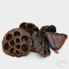 Lótusz - nagy - natúr