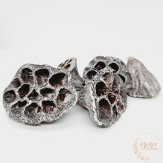 Lótusz - nagy - hamvas