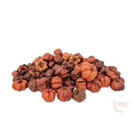 Putka pod - mini tök termés - terrakotta